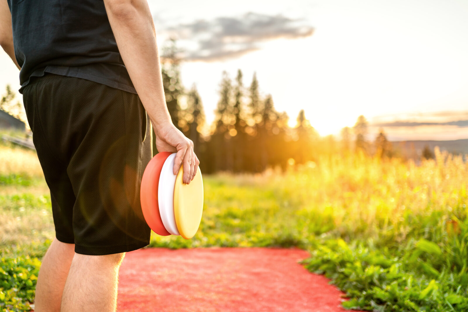 Close shot of hand holding three discs, standing on a Disc Golf course.